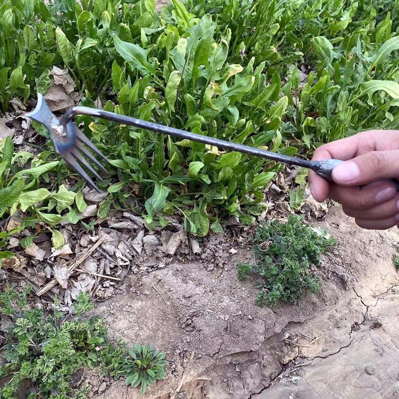 Gardening Hand Weeder Tool Mangan Steel Weeding&amp;Loose Soil Hoe Rake Hand Weeding Removal Puller Garden Tools Multifunctio Weeder - ChubbyChunk