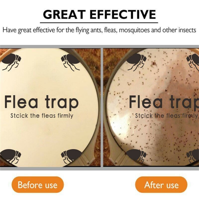 Household Flea Trap Light Safe Non-toxic Tasteless Flea Sticky Trap for Living Room Bedroom Kitchen Toilet EU plug - ChubbyChunk